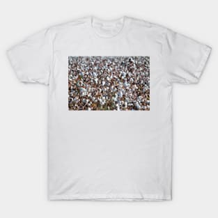 NC Cotton T-Shirt